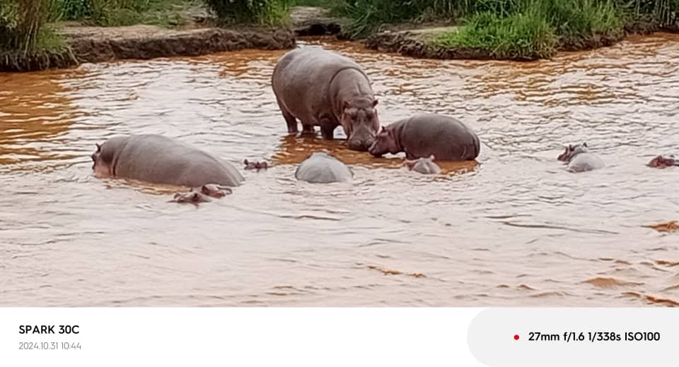 Kamanyola/Tourisme: Les élèves du Lycée Kamanyola en visite au site touristique qui héberge les hyppopotames et le monument historique