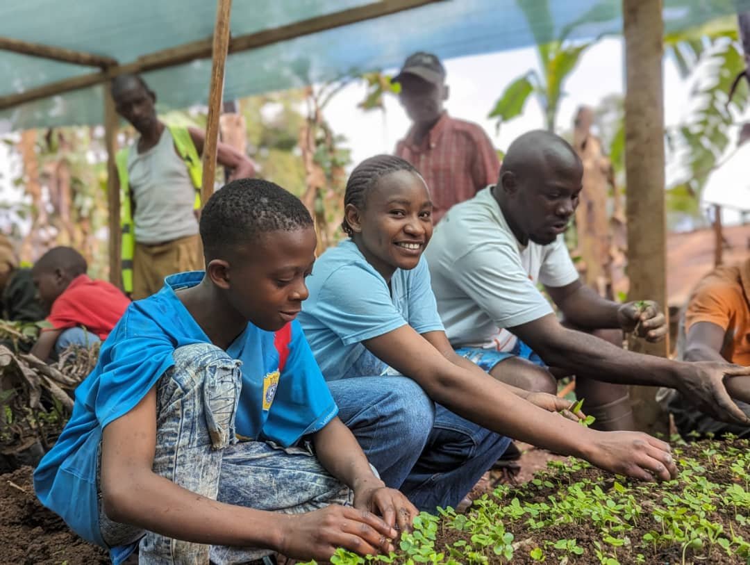 BUKAVU : Petit tour à la pépinière de l’amitié entretenue par les jeunes du mouvement ATD Quart Monde