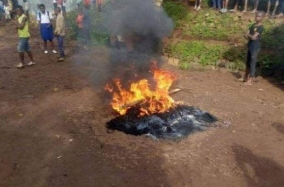 KABARE : Deux présumés voleurs Exécutés dans le groupement de BUGORHE en territoire de KABARE.