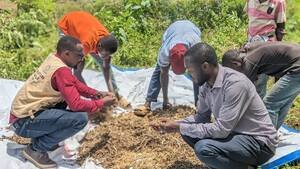 KABARE/ATA-RDC, Essaie de Sélection Variétale du SOJA à L’INERA -MULUNGU: la réponse aux problèmes agricoles à Bukavu.