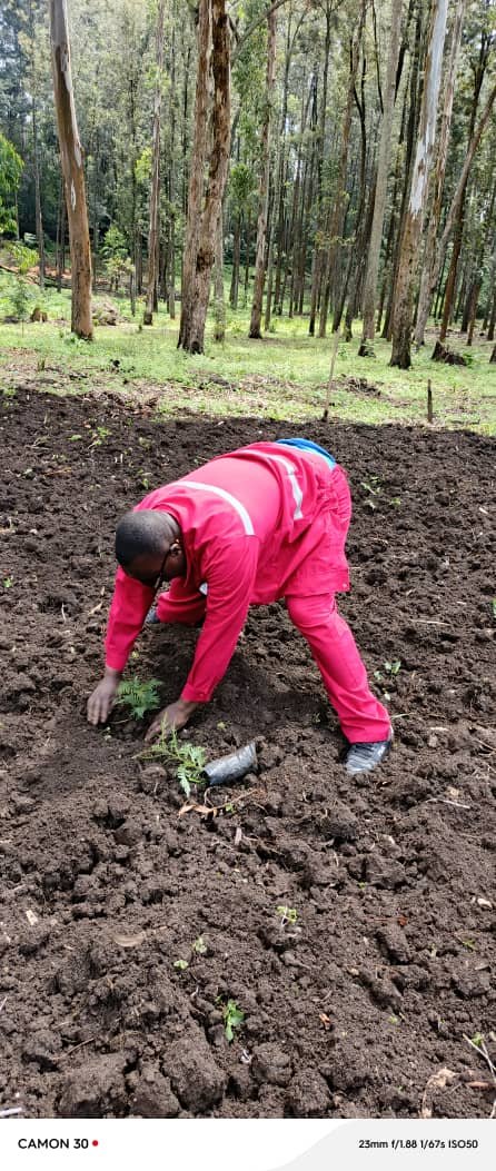 KATANA : une mobilisation environnementale portée par le Révérend Abbé Claude Murhabazi