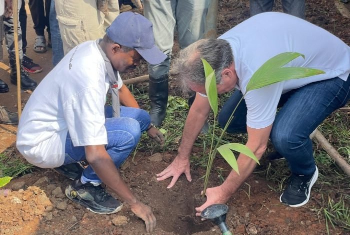 Bukavu mois vert : la Coopération Suisse passe de la théorie à l&rsquo;action ; environ 5000 plantules mises en terre