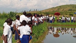 Kamanyola : Les élèves du Lycée Kamanyola allient théorie et pratique lors d’une visite scientifique dans la vallée de Cirira