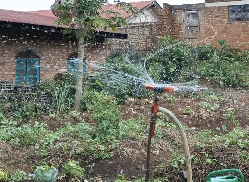 Idjwi : Le maraîchage en saison sèche, un rempart contre l’insécurité alimentaire