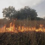 Walungu/Environnement : Les habitants de Kamanyola appelés à préserver l’environnement en évitant les feux de brousse durant la saison sèche