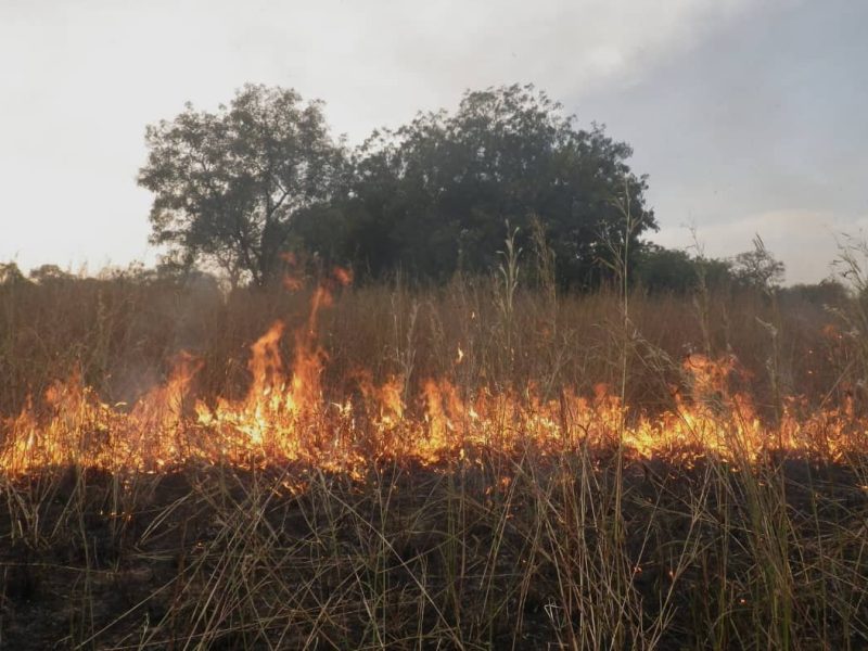Walungu/Environnement : Les habitants de Kamanyola appelés à préserver l’environnement en évitant les feux de brousse durant la saison sèche