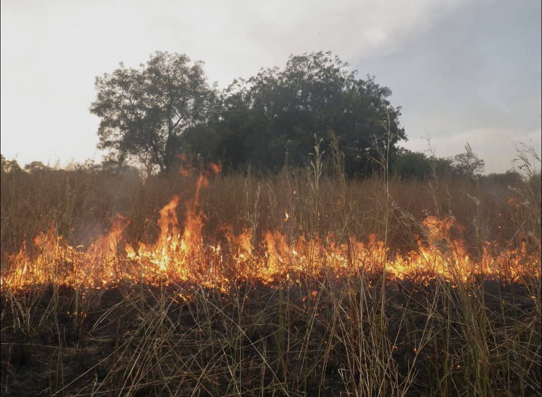 Walungu/Environnement : Les habitants de Kamanyola appelés à préserver l’environnement en évitant les feux de brousse durant la saison sèche