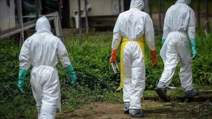 Ebola au Sud-Kivu : deux cas confirmés et plusieurs contacts sous surveillance