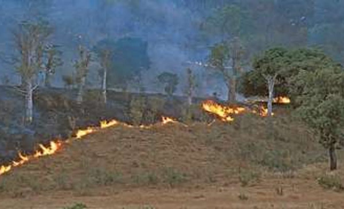 Luvungi : Quatre morts et d’importantes pertes agricoles après un feu de brousse à Kichacha