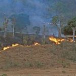 Luvungi : Quatre morts et d’importantes pertes agricoles après un feu de brousse à Kichacha
