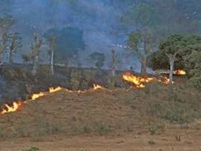 Luvungi : Quatre morts et d’importantes pertes agricoles après un feu de brousse à Kichacha