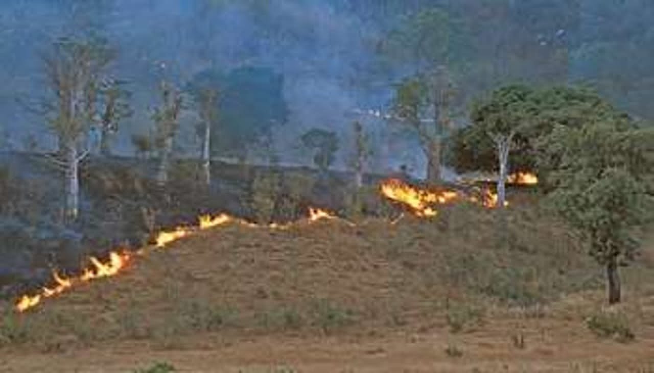 Luvungi : Quatre morts et d’importantes pertes agricoles après un feu de brousse à Kichacha